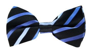 Beckham Blue Striped Bow Tie