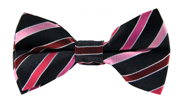 Beckham Pink Striped Bow Tie