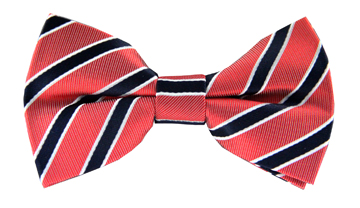Benson Striped Bow Tie